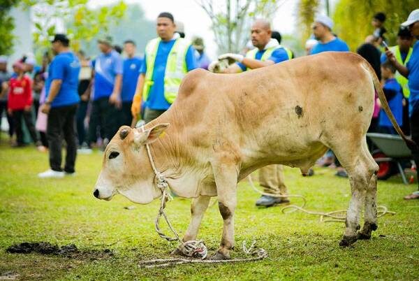 Gambar sekadar hiasan.