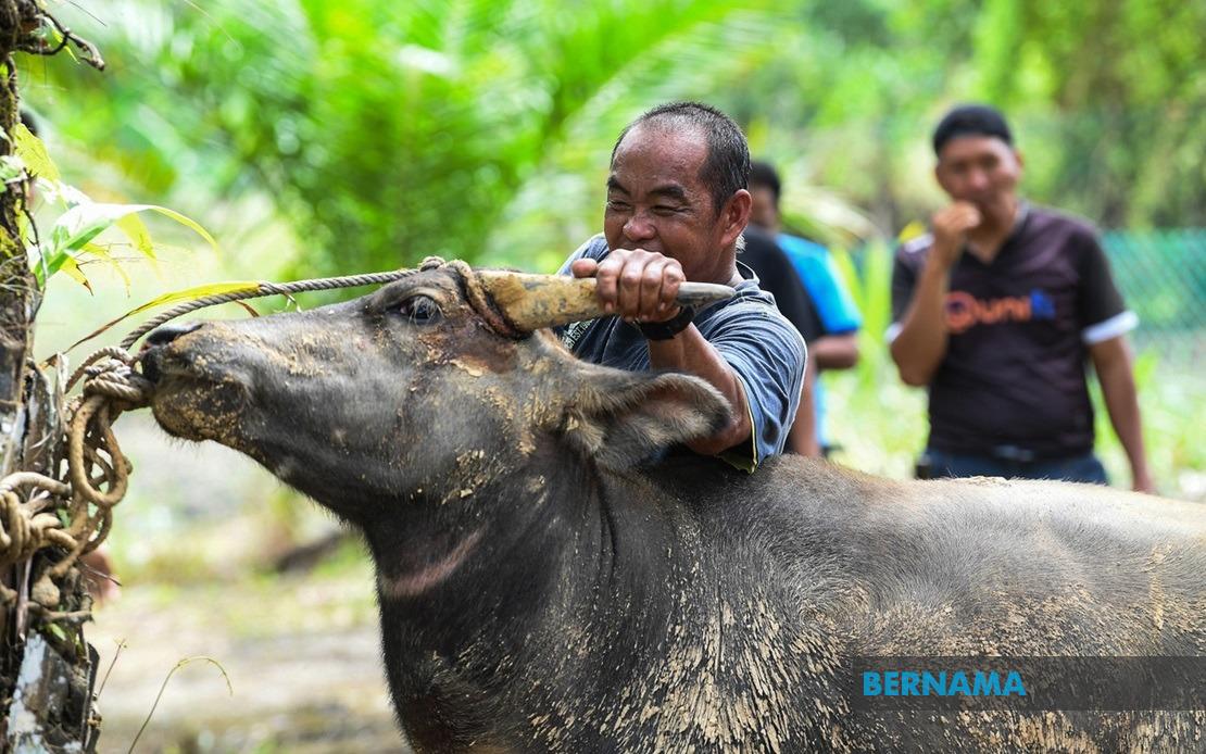 Gambar sekadar hiasan.