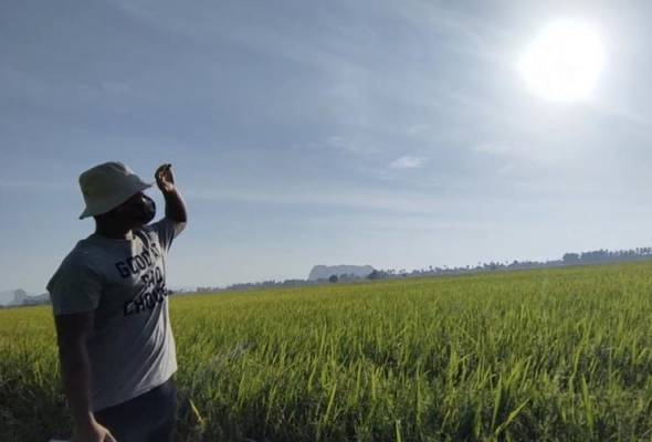 Gambar sekadar hiasan.