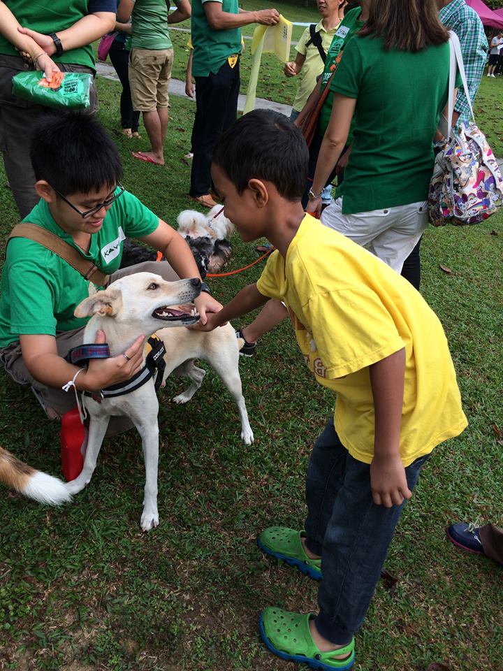 PHOTOS Over 800 Curious And Eager Muslims Turn Up To ...