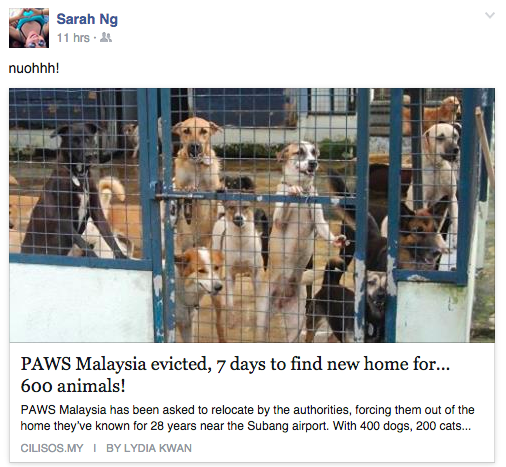 [SHARE] What PAWS Has To Say About Saving Shelter And 600 Animals