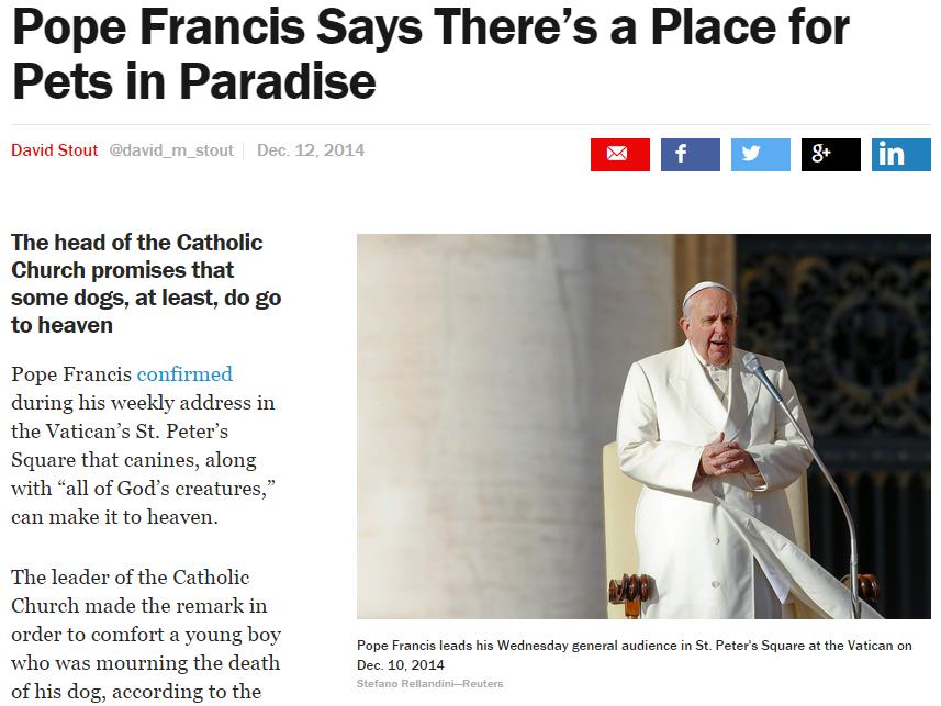 FACT OR FAKE #85] Did Pope Francis Really Dogs Go To