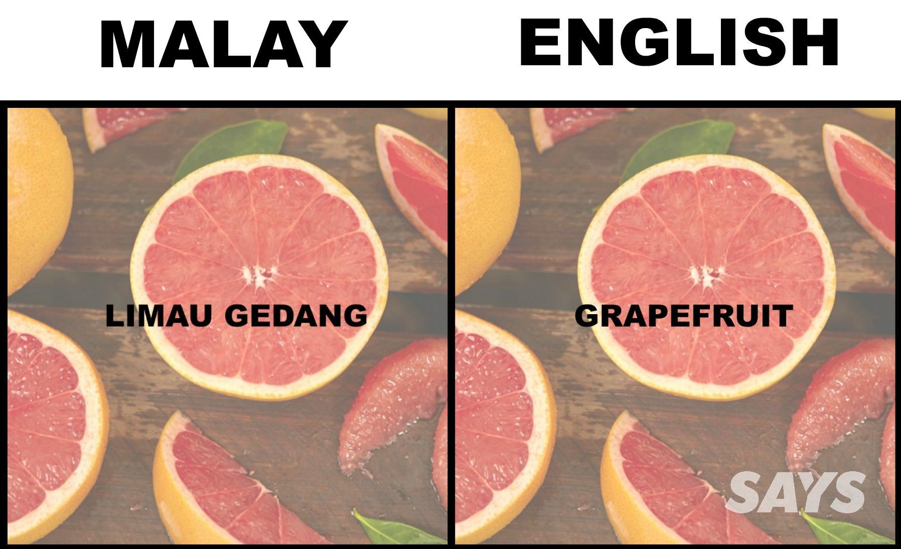 Grapefruit перевод. Грейпфрут перевод на английский.