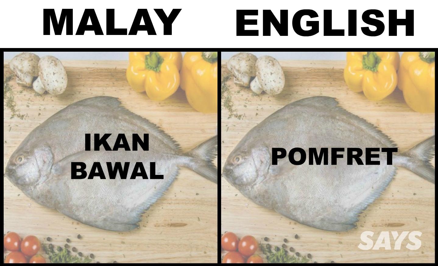 What's Ikan Patin In English? Here Are 17 Translations Of Fish