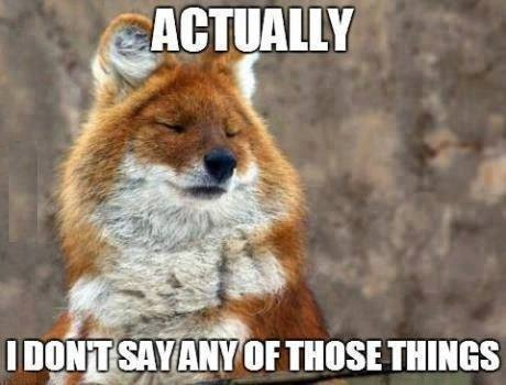 Most Popular Foxes You Should Already Know By Now