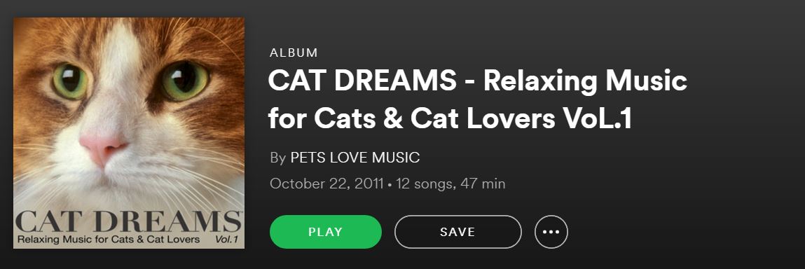 Cat Sourcespotify 300x300 Spotify Playlist Covers Aesthetic