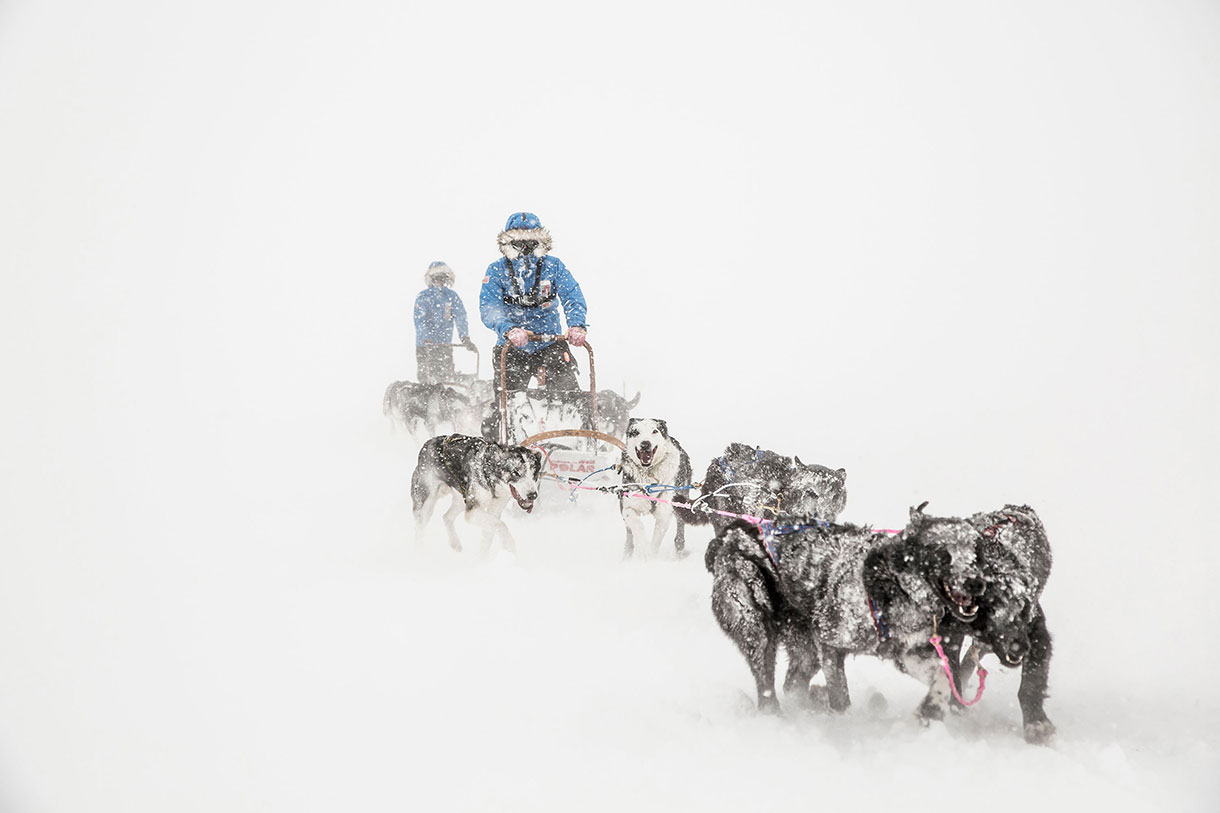 This Guy Needs Your To Become The First Ever M'sian To This Dogsled