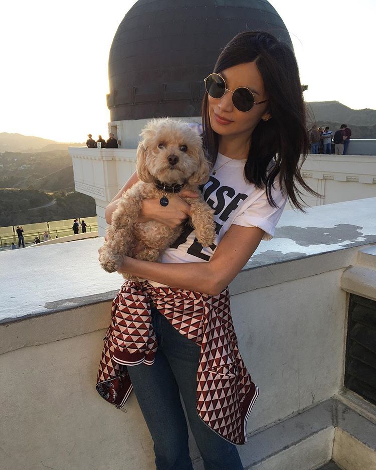 [PHOTOS] 11 Quick Facts About Gemma Chan