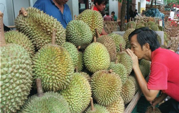 File photo of a customer leaning forward to smell durians.