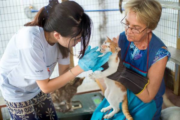 u0027Cat Beachu0027 Di Pulau Pinang Ini Ialah Destinasi Unik Untuk Kaki 