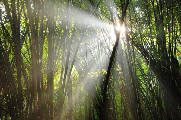 Nam Nao National Park