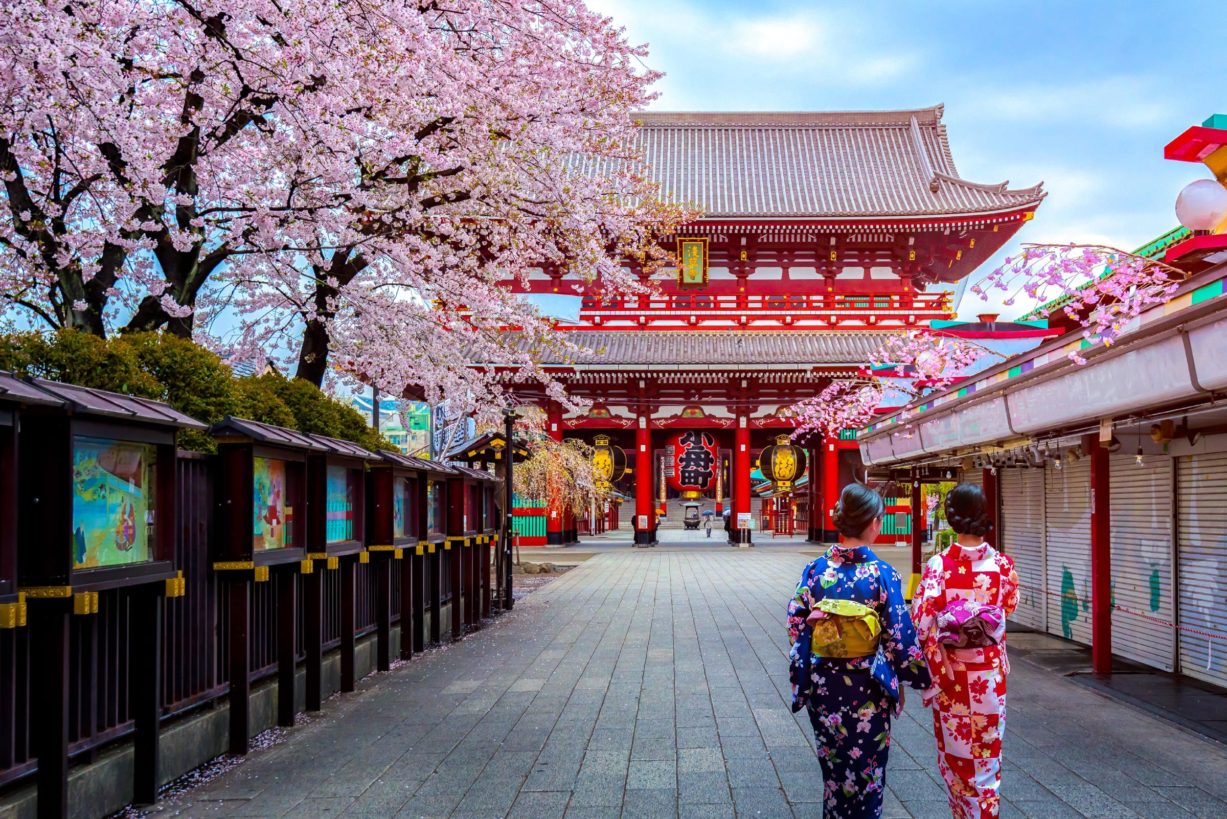 Went To Japan During Sakura Season But Didn't See Any? Here's How You