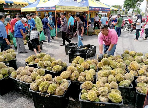 Gunakan 5 Tips Mudah & Penting Ini Ketika Anda Membeli Buah-buahan Agar Tidak Membazir!