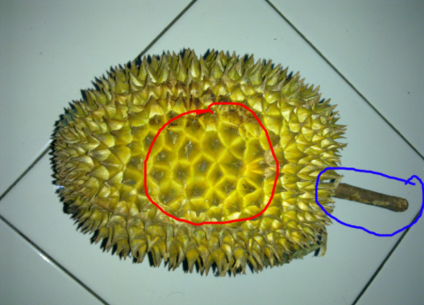 Gunakan 5 Tips Mudah & Penting Ini Ketika Anda Membeli Buah-buahan Agar Tidak Membazir!