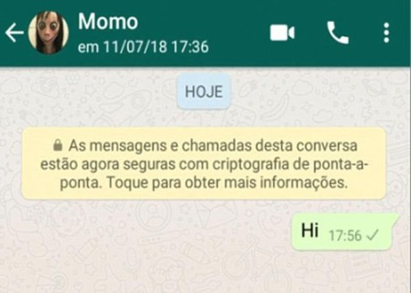 A screenshot of someone contacting "Momo".