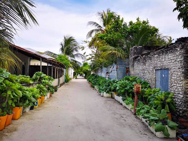 Guraidhoo Island