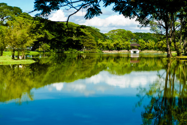 Taiping Lake Gardens in Taiping, Perak.