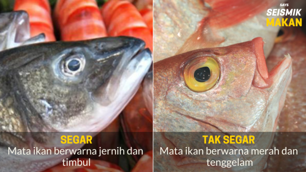 Tips Memilih Ikan Segar