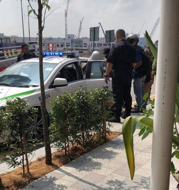 The woman being escorted into a police car.