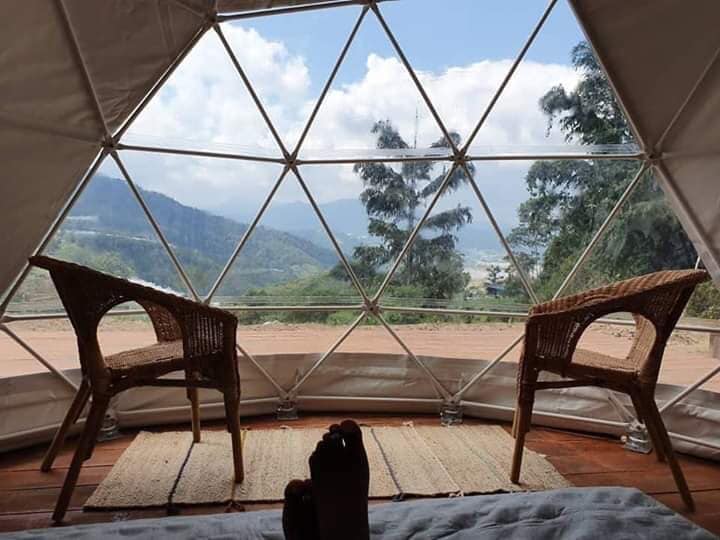 This Cosy Airbnb Overlooking A Cameron Highlands Tea Plantation Is The Perfect Getaway