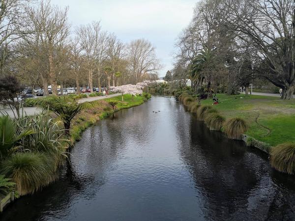 The Avon River with the Christchurch Botanic Gardens on the right and Hagley Park on the left.