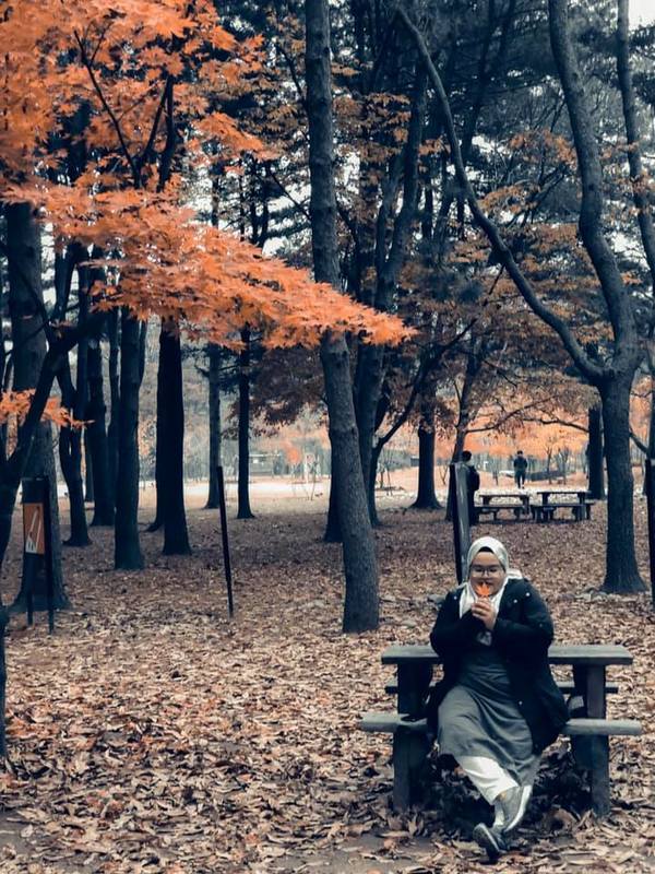 Nami Island.