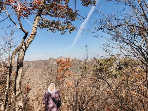 Naejangsan National Park.