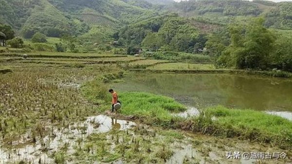 Dang Van Khuyen menyara diri sendiri selepas kematian ayah dan neneknya.