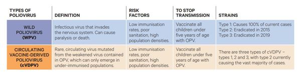 The difference between wild strains and vaccine-derived poliovirus.