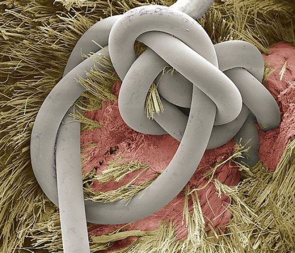 these-everyday-things-zoomed-in-at-microscopic-level-look-really