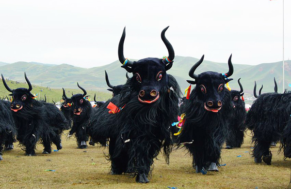 The yak dance.