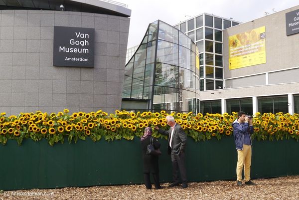 Tourists at the sunflower labyrinth outside th Van Gogh Museum, Amsterdam.