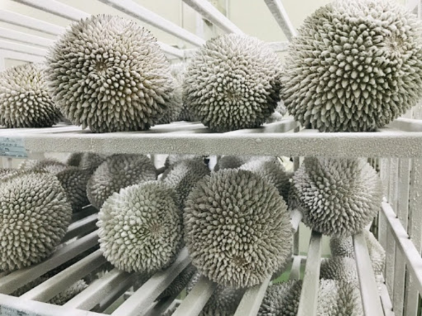 Malaysia was allowed to export whole frozen durians to China beginning May last year.