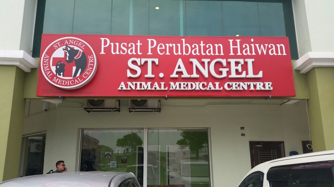 24 Hours Vets In KL And PJ