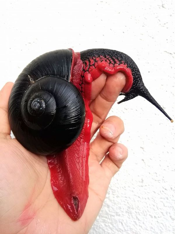 Fire snail