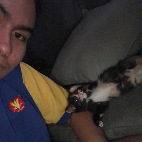 Bila Mak Ayah Lebih Risaukan Kucing Dari Anak Sendiri, Ramai 