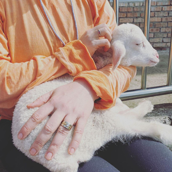 A visitor shared how this little lamb napped on her lap for a good 20 minutes. Too cute!