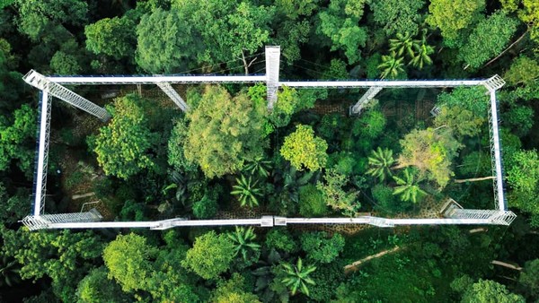 The 'Forest Skywalk' will open on 31 August, with an entrance fee of RM15 per adult (MyKad holders) and RM40 (non-MyKad holders).