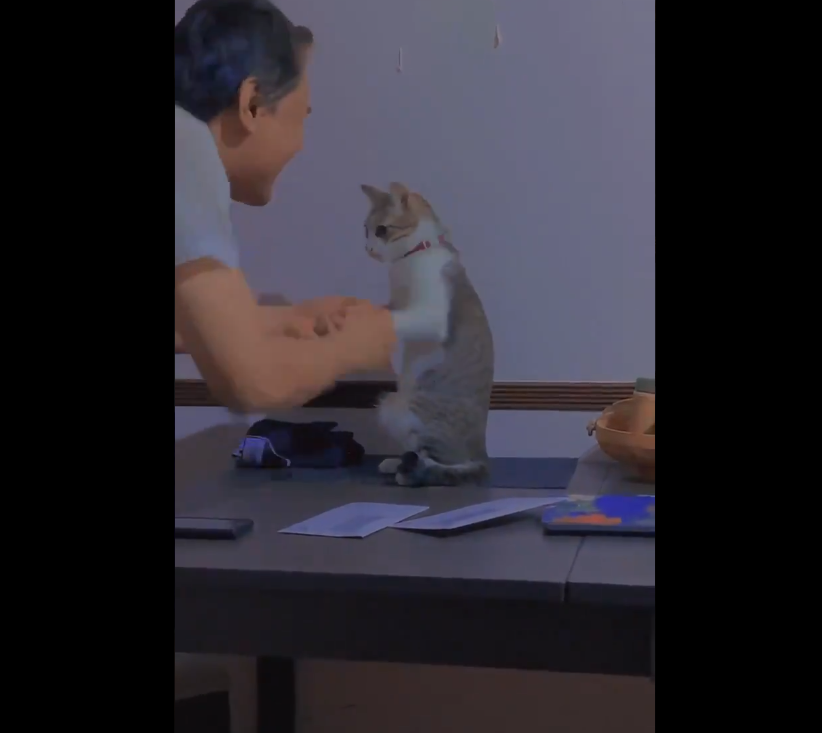 VIDEO] Dulu Ayah Tak Bagi Bela Kucing, Tapi Sekarang Dia Pula Yang 