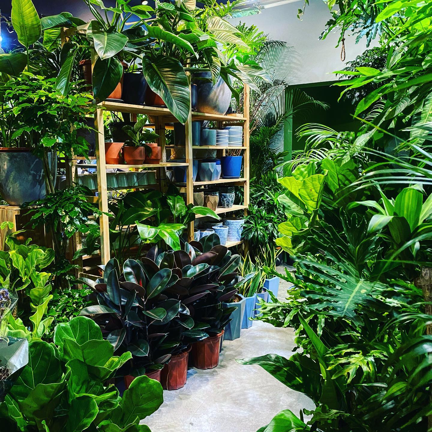 15 Plant Nurseries In KL & Selangor For Your Garden Supplies