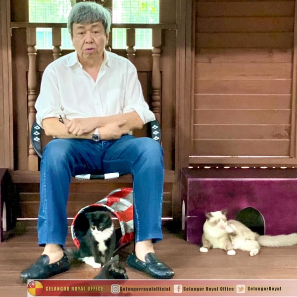 Sultan Selangor sering meluangkan masa bersama kucing terbiar yang kini diambil untuk dipelihara di kawasan kediaman baginda.