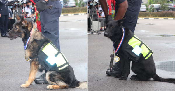 Mailo (left) and Barny (right)