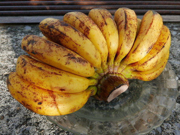 Pisang berangan.