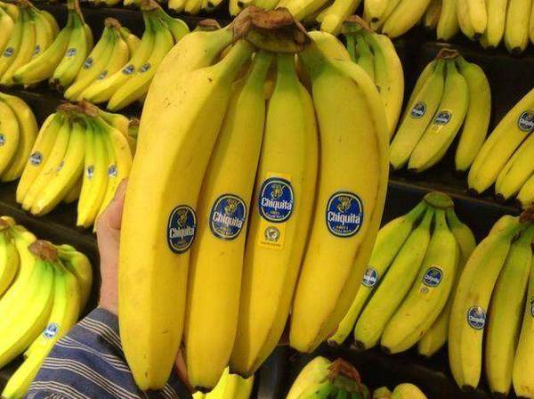 Cavendish bananas.