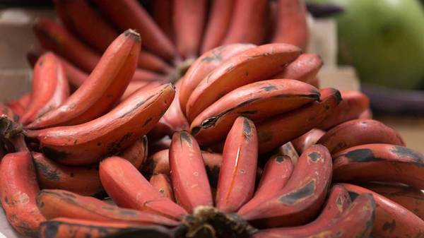 Pisang merah.