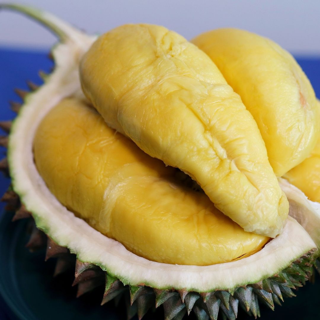 Ezy durian shah alam