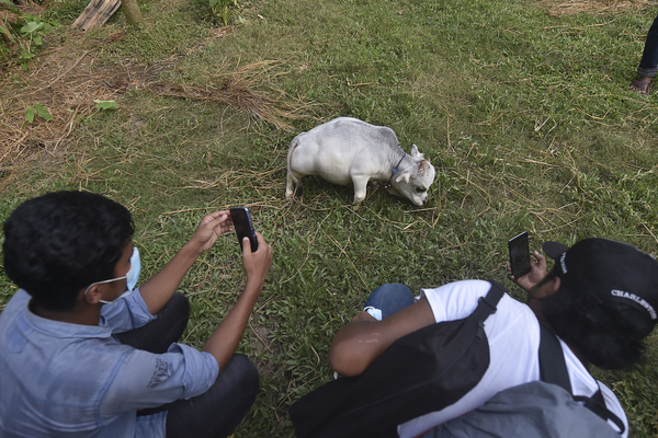 People clicking photos of Rani.