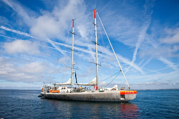 The Tara schooner, supported by the Veolia Foundation, has been sailing the world's oceans and observing plankton since 2009.