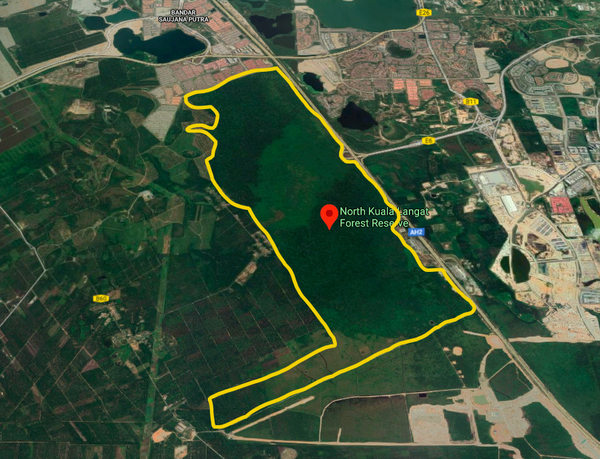 The Kuala Langat North Forest Reserve land marked in yellow. The area is roughly the size of 2,290 football fields.