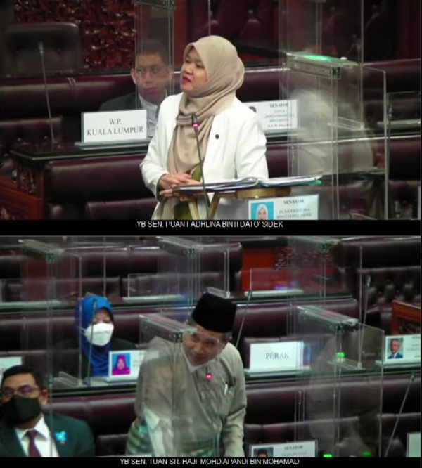 PKR Senator Fadhlina Sidek (top) and Apandi.